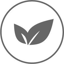 Symbol Blatt